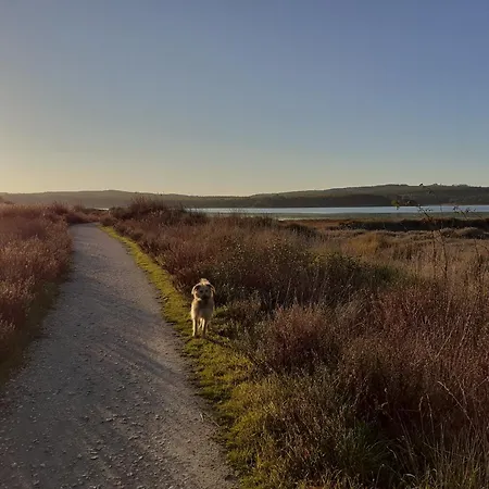 Casa Da Bica D'agua * Обидуш